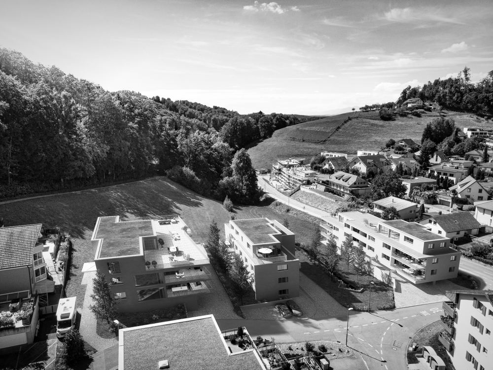 Luftbild der drei Mehrfamilienhäuser mit begrünten Dächern am Waldrand